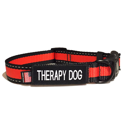 Therapy Dog Basic Kit » US Dog Registry